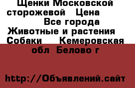 Щенки Московской сторожевой › Цена ­ 35 000 - Все города Животные и растения » Собаки   . Кемеровская обл.,Белово г.